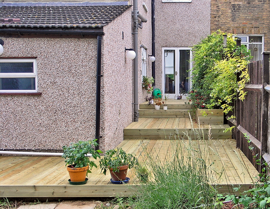 pengenew1