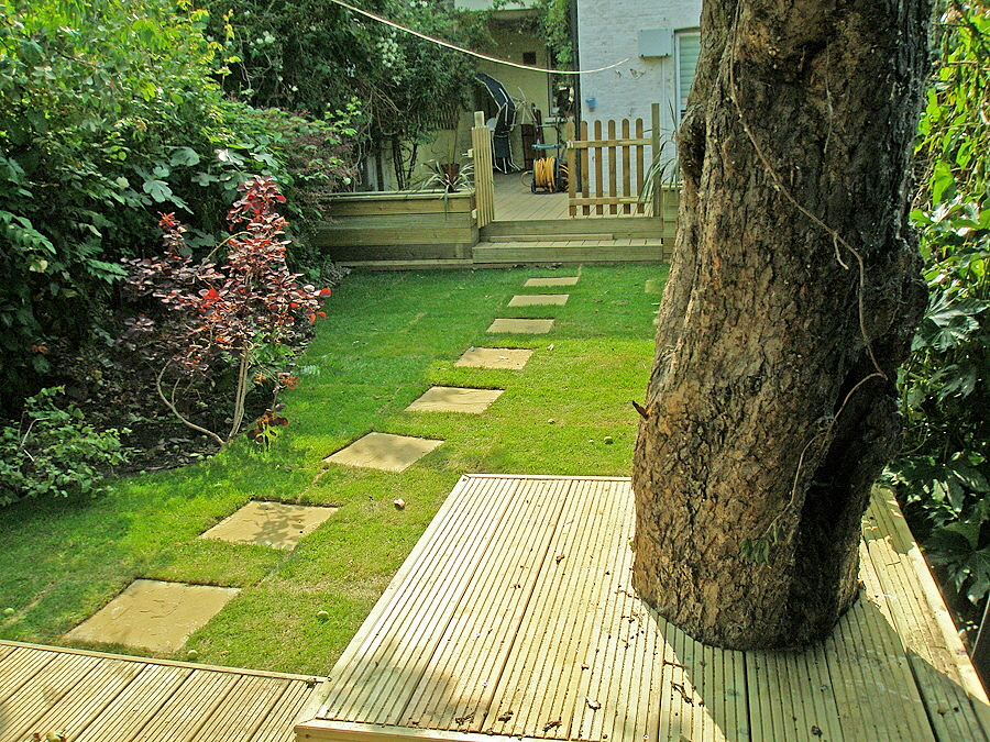 shard6